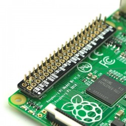 Placa para marcação dos pinos da Raspberry Pi