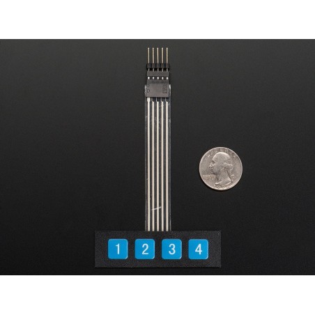 Membrane 1x4 Keypad